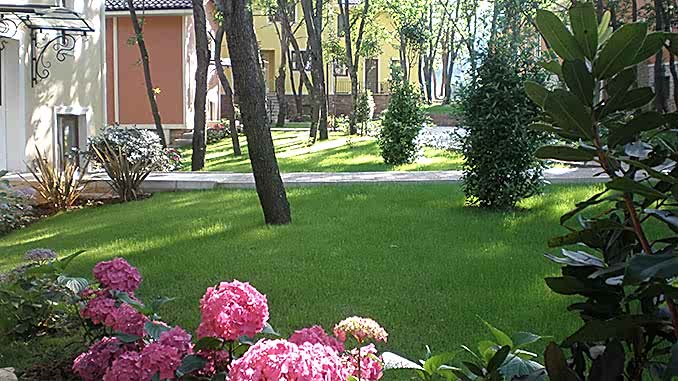 Peyzaj Çalışmaları